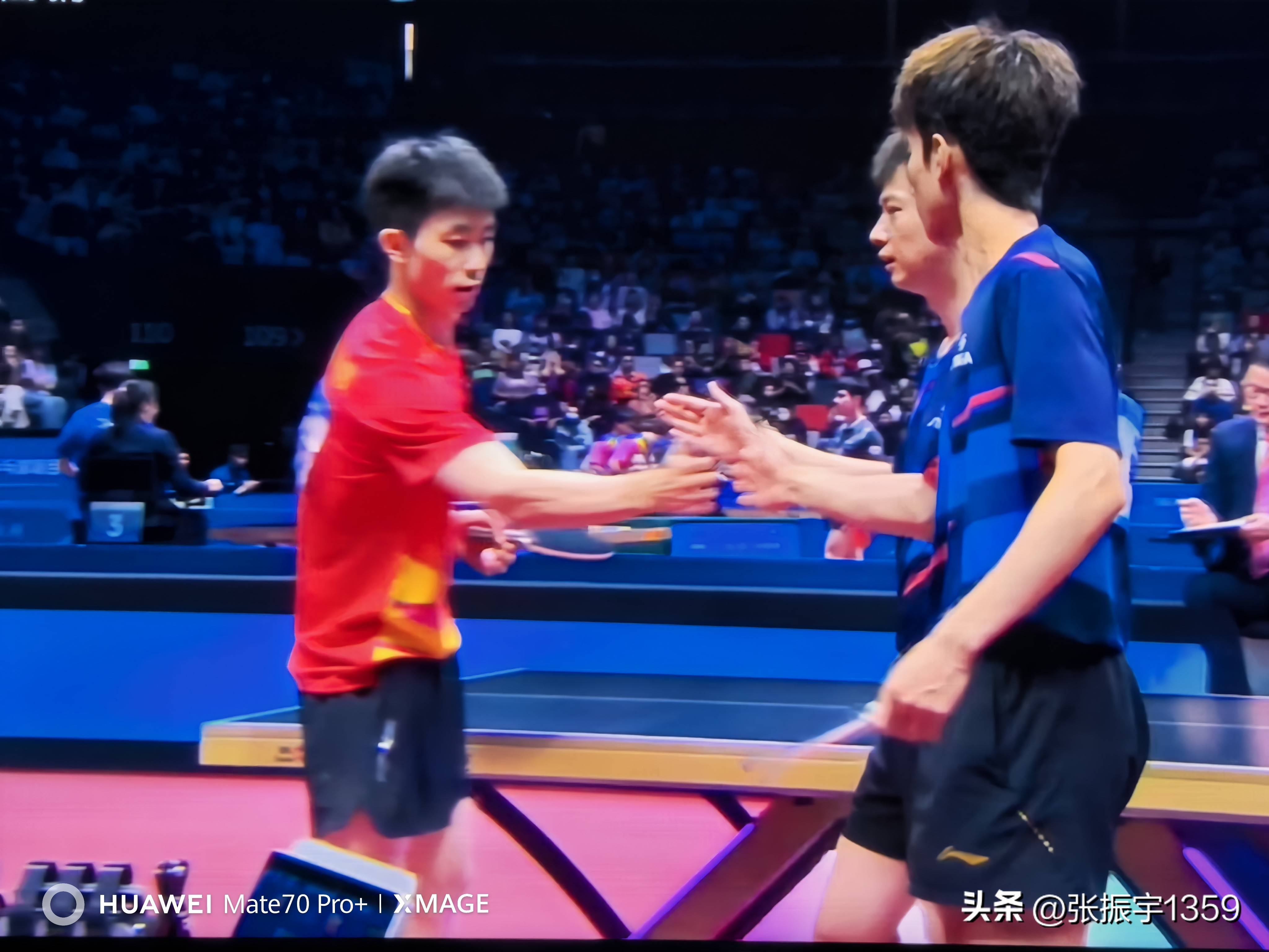 开云下载-波兰队完胜韩国队,许昕点燃赛场