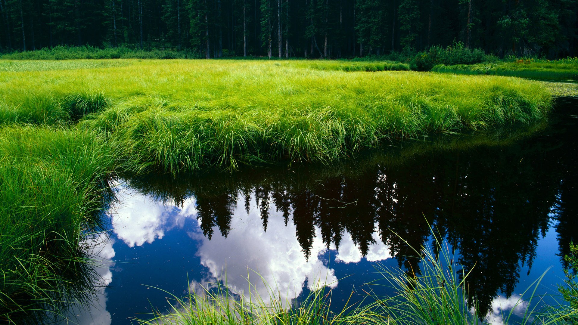 压力下的璀璨瞬间，英超争冠之夜与利拉德的爆发传奇
