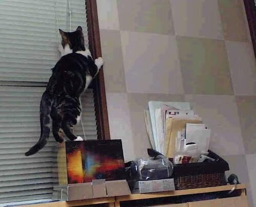 灵光一现，李刚仁四分钟内的神迹让拉齐奥对阵那不勒斯提前失去悬念