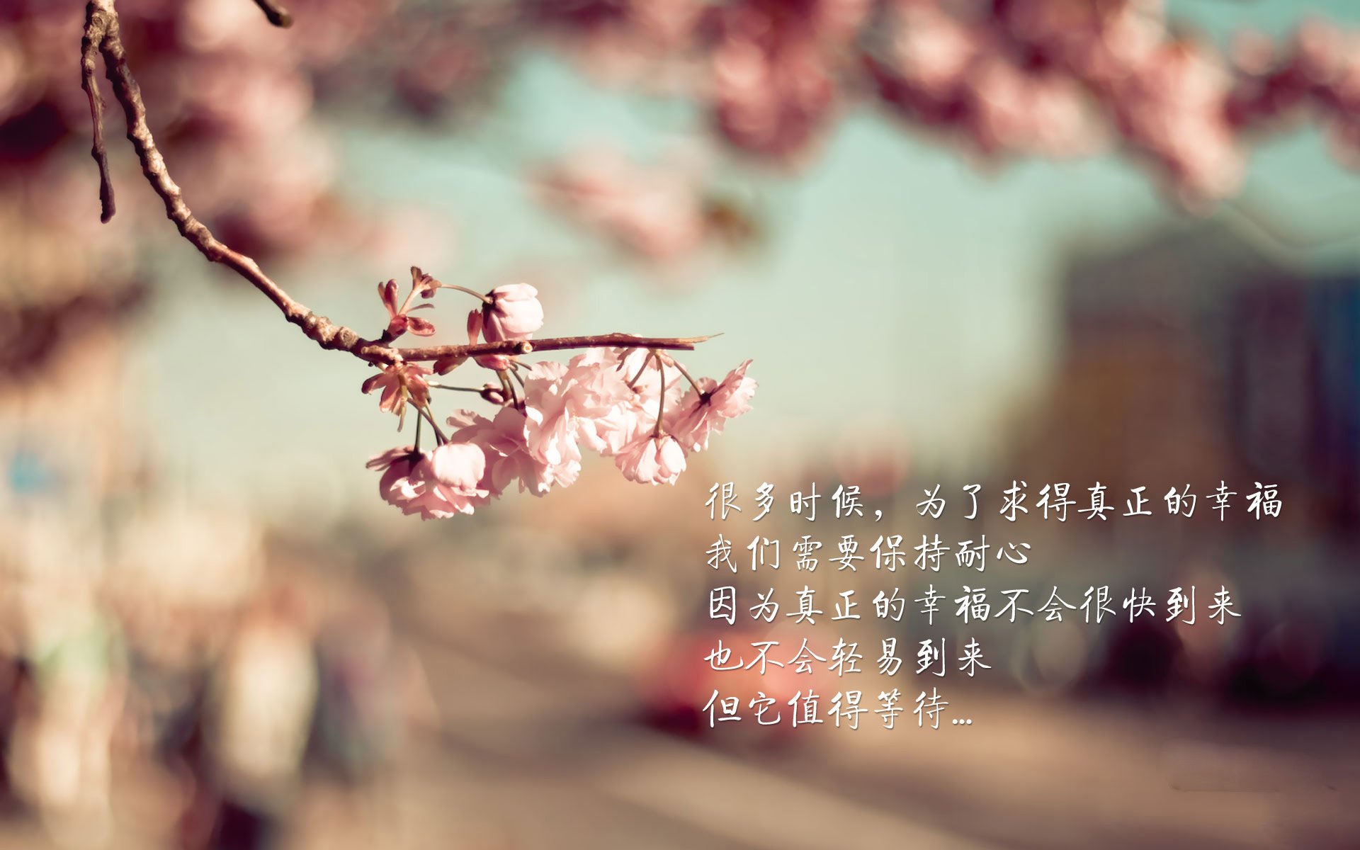 浓眉以一敌众，火箭升空击碎上海生死战