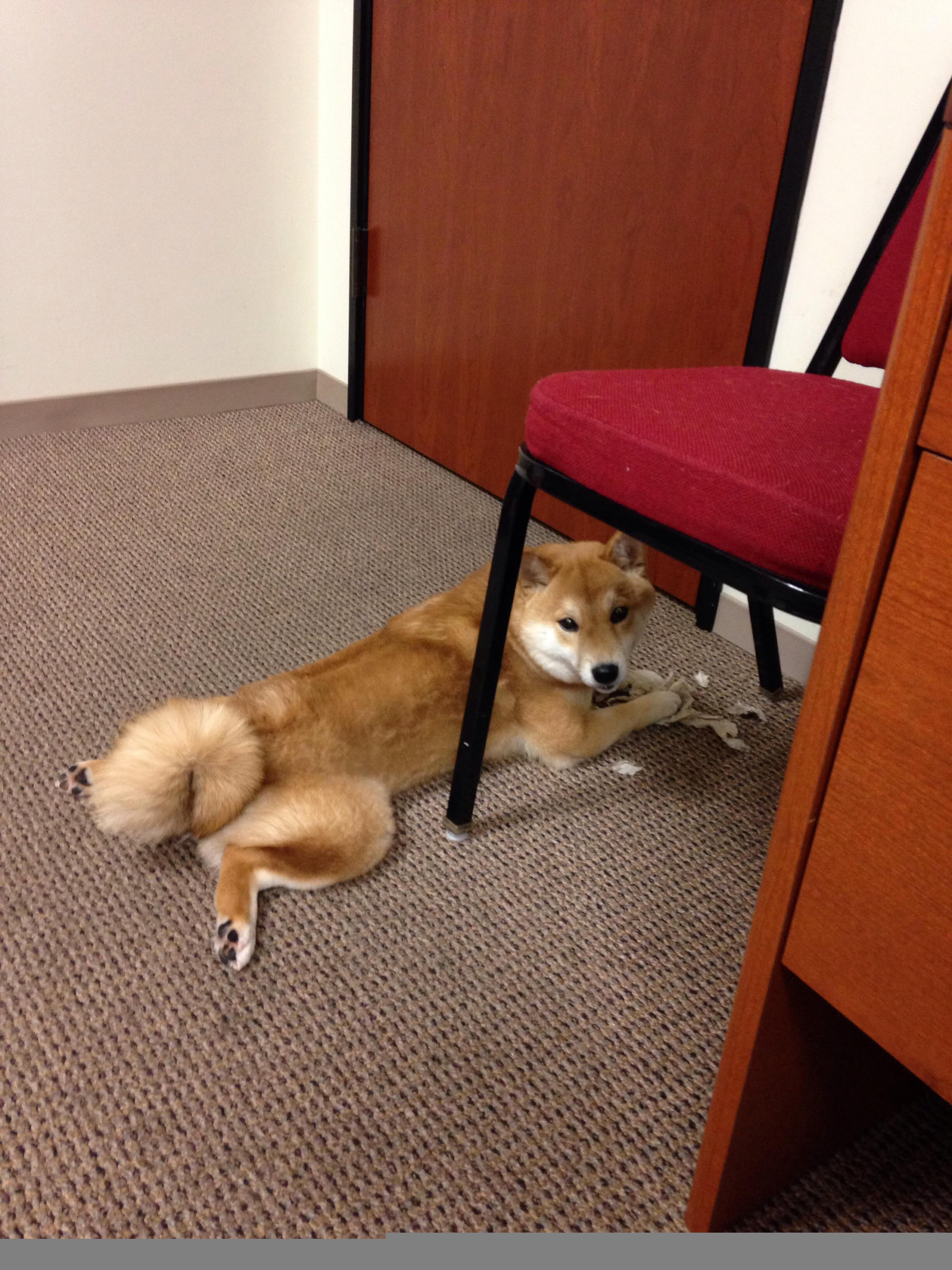 点球与国界，当绿茵场成为历史冲突的终极隐喻