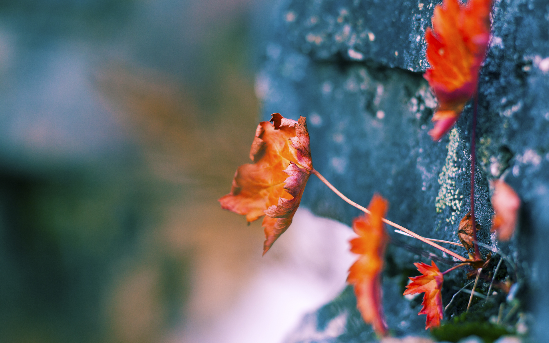 突破封锁的利刃，格纳布里如何在哥伦比亚式围剿中成为关键先生