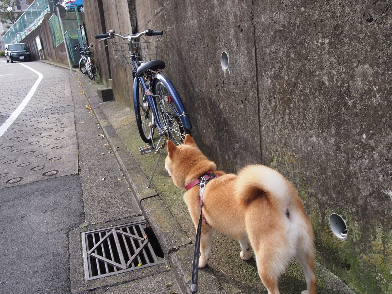 开云体育下载-双城记，瑞士铁血制霸马德里，斯通斯于都灵焦点战接管赛场