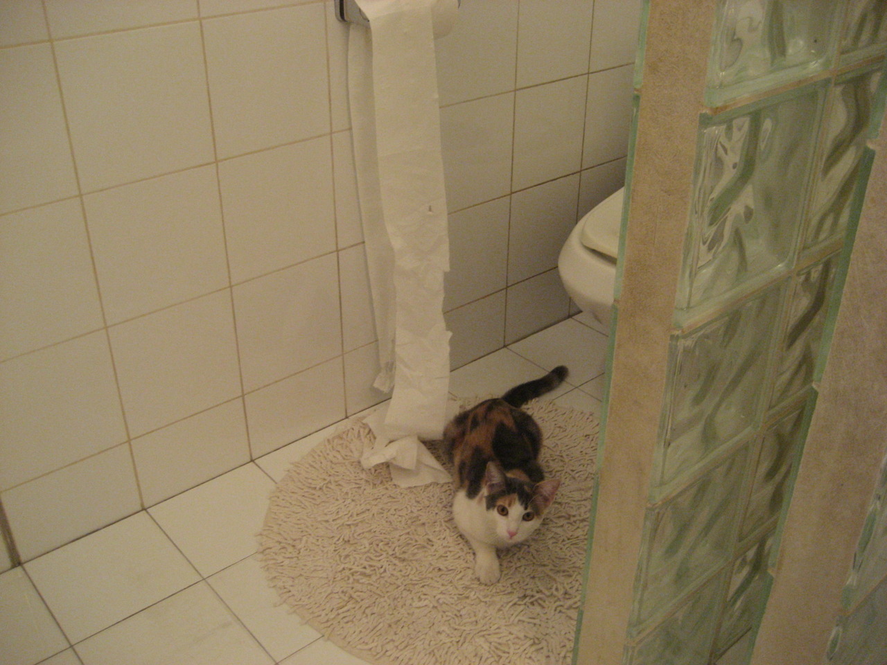 布伦森主导狂飙风暴，灰熊主场正面击溃热火彰显团队韧性