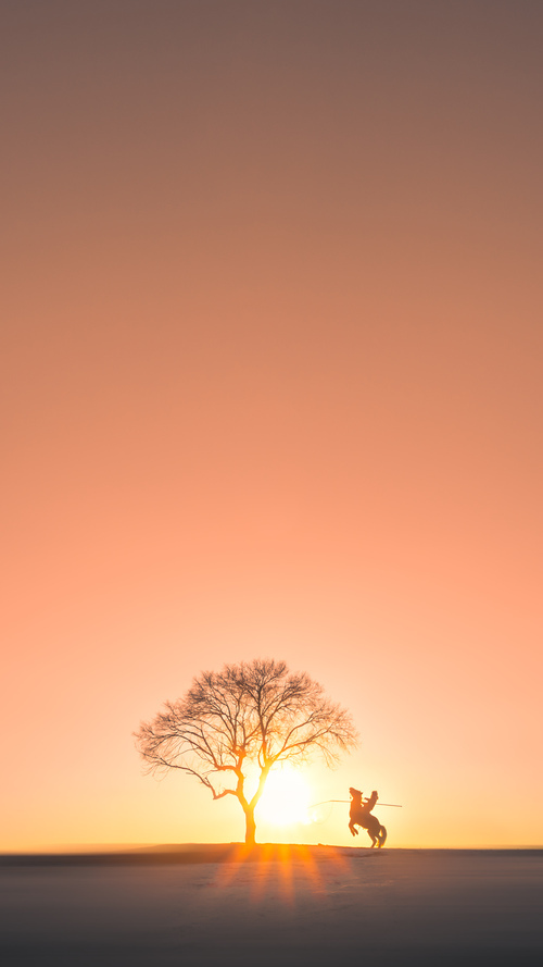 委内瑞拉硬仗取胜沙特，阿克化身关键先生定乾坤