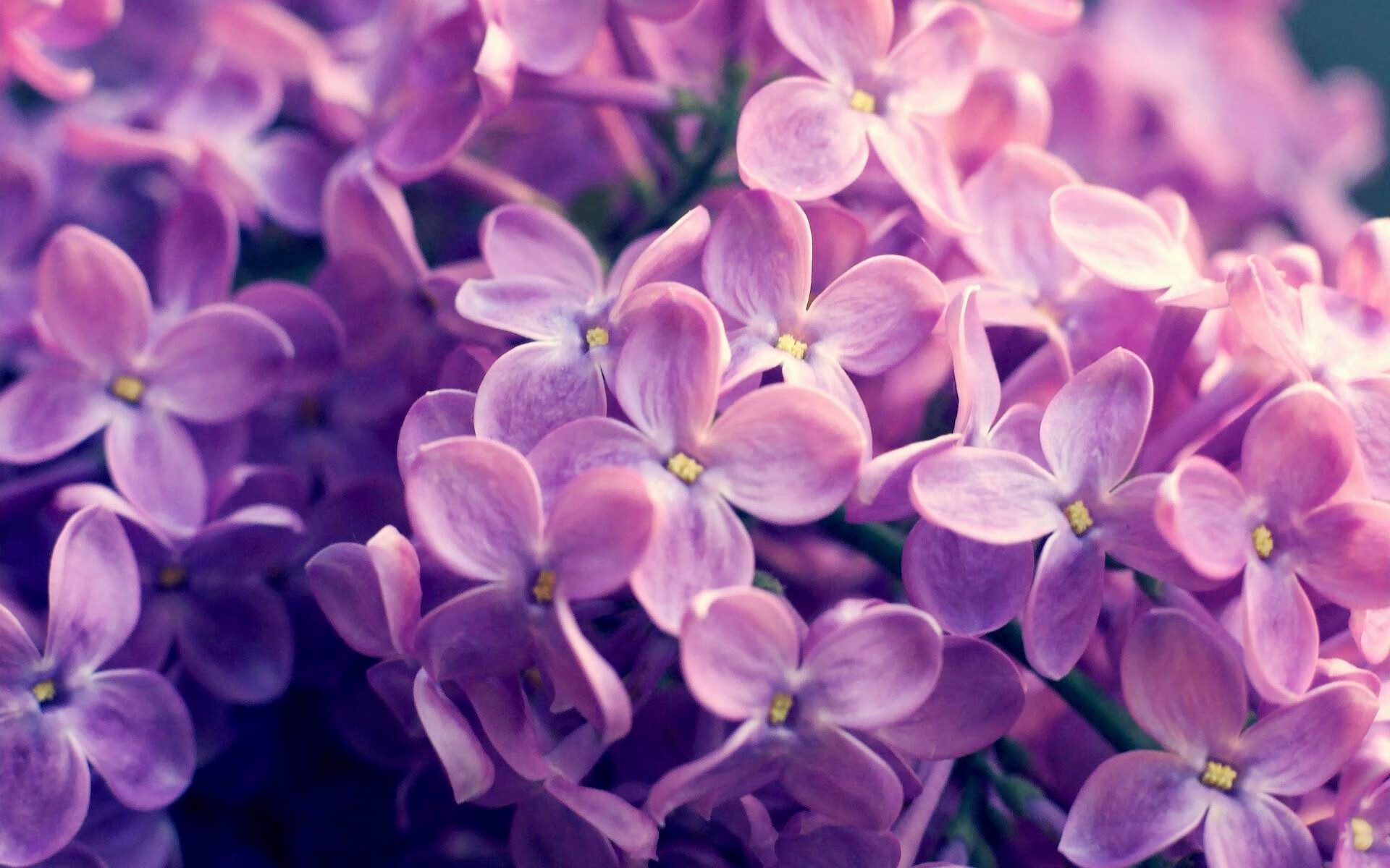 蒂亚戈一击定乾坤！巴黎险胜挪威，关键先生不手软