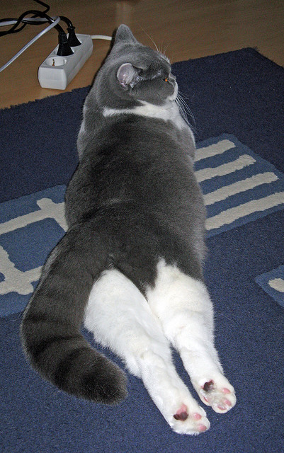 黄金一代的黎明，巴尔韦德冠军级表现引领乌克兰击溃哥斯达黎加