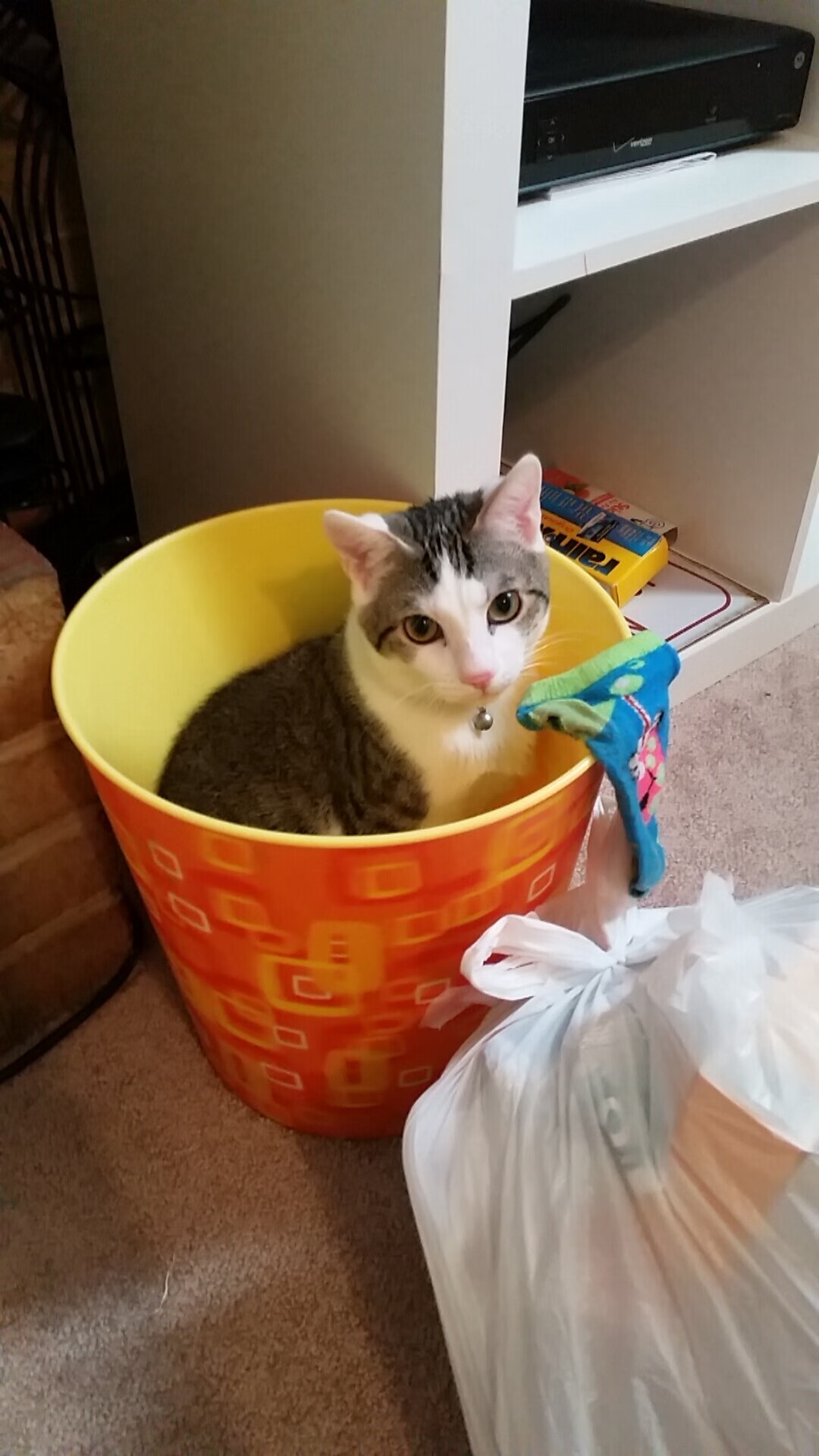 奥利维耶爆发助瑞典争冠战力克丹麦，北欧德比演绎绿茵传奇