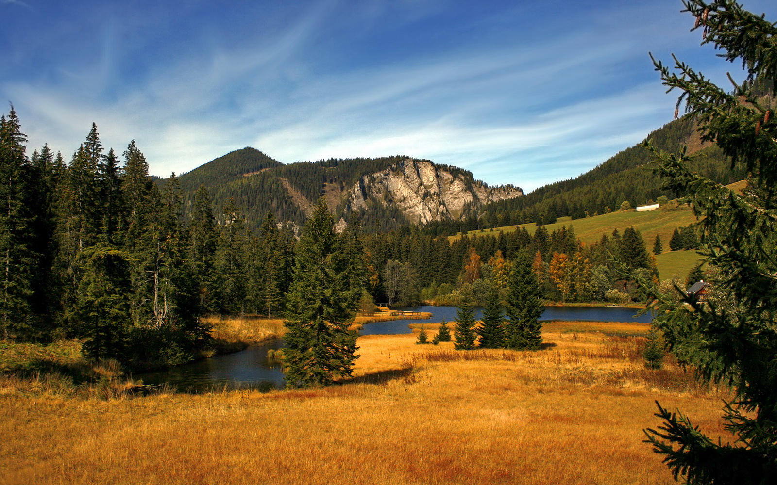 开云体育中国-晋京之巅！钢铁洪流终破壁垒，恩比德化身关键先生主宰冠军之战