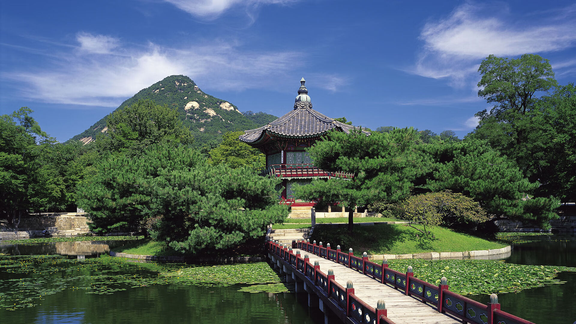 开云体育入口-NBA总决赛巅峰对决，深圳队力克国王队荣膺冠军