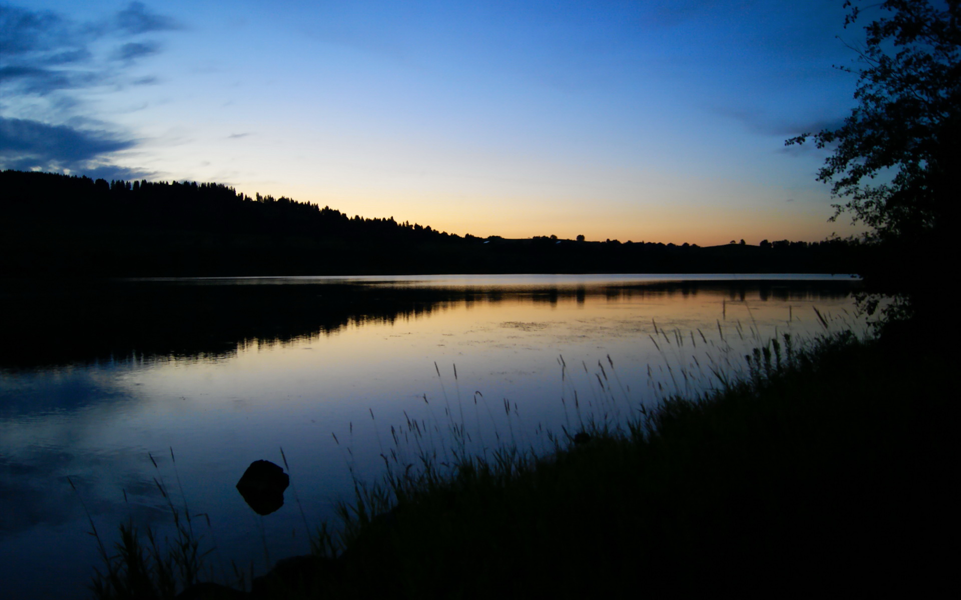 开云官网-皮克运筹帷幄，爱尔兰斩落厄瓜多尔