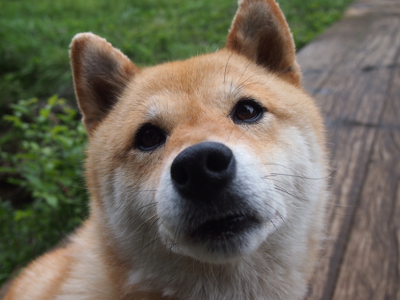 开云体育app-伦纳德关键球主宰胜负，魔术团队发力力克鹈鹕