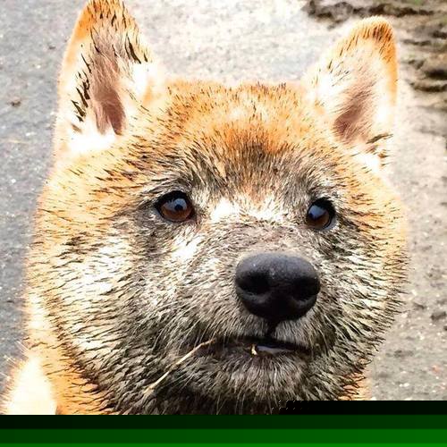 开云体育app-韩国防守铸就铜墙铁壁，巴斯托尼一战锁定巨星之位