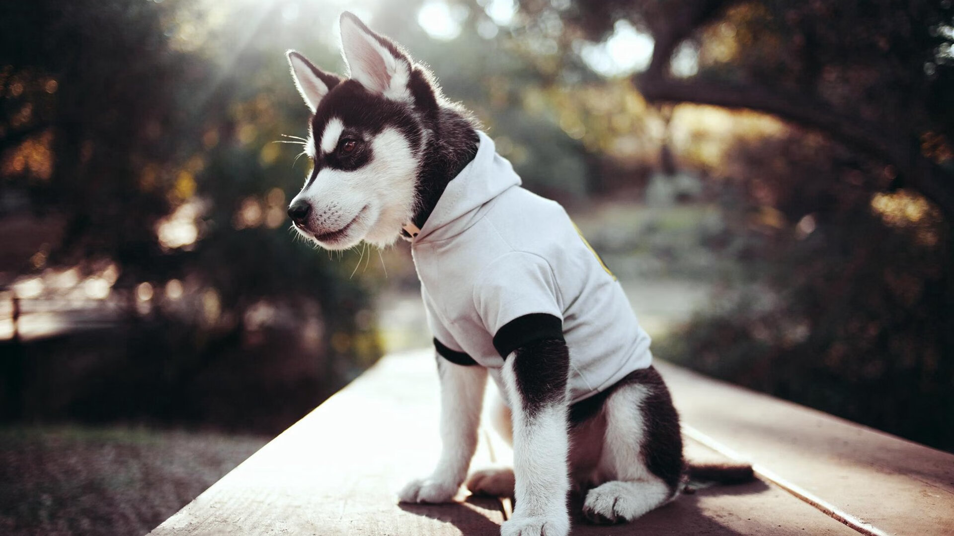 开云APP-欧冠半决赛之夜，拉文绝杀点亮巴黎，书写新王传说