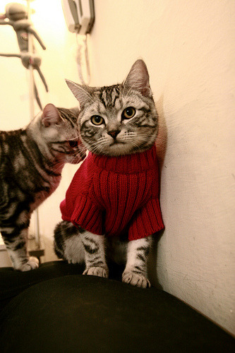 开云体育在线-当欧冠绝杀点燃夜空，利拉德在另一个赛场冷静‘拆表’